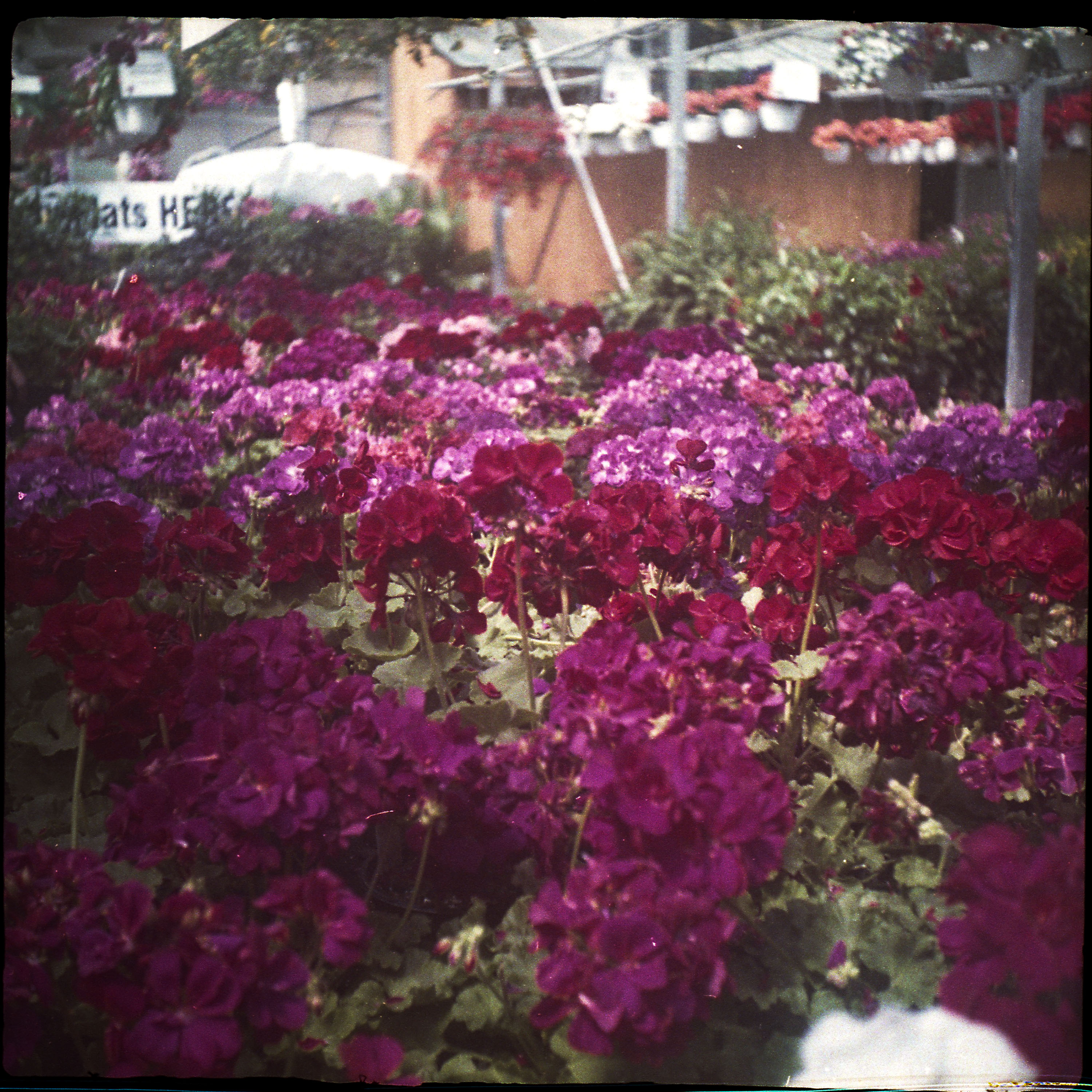 Photavit-4
