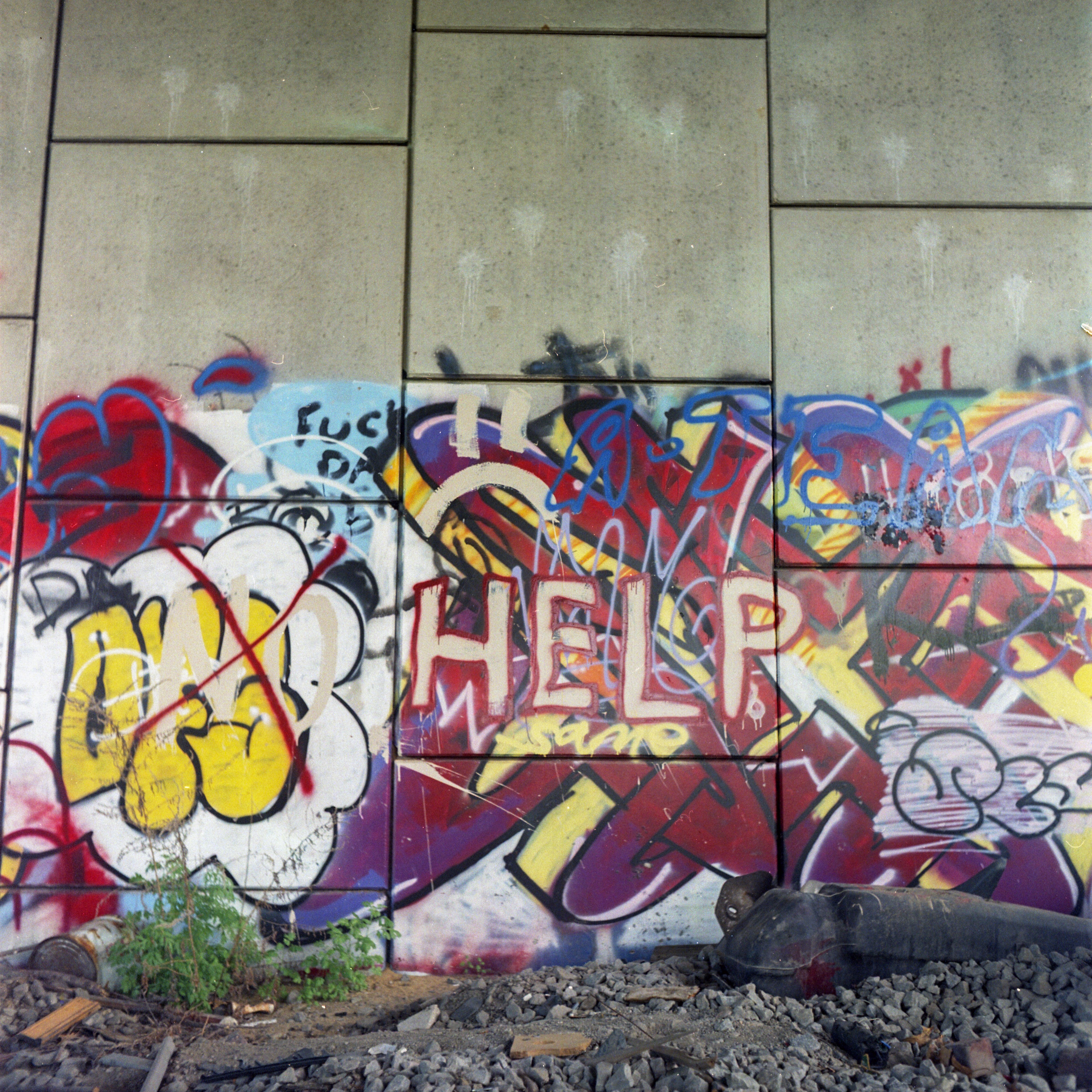 ANSCOReflex-12