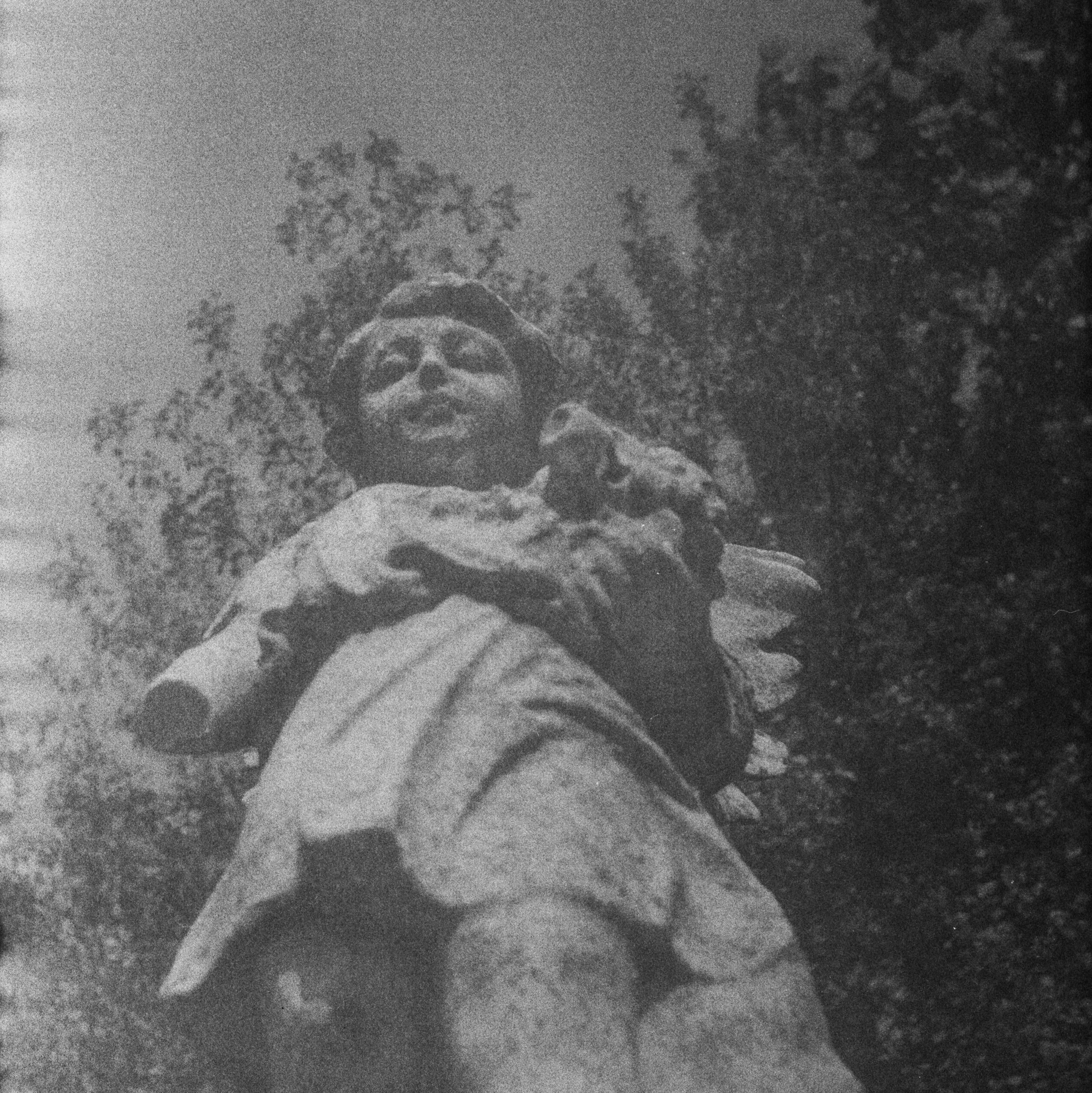 RolleiOS-6