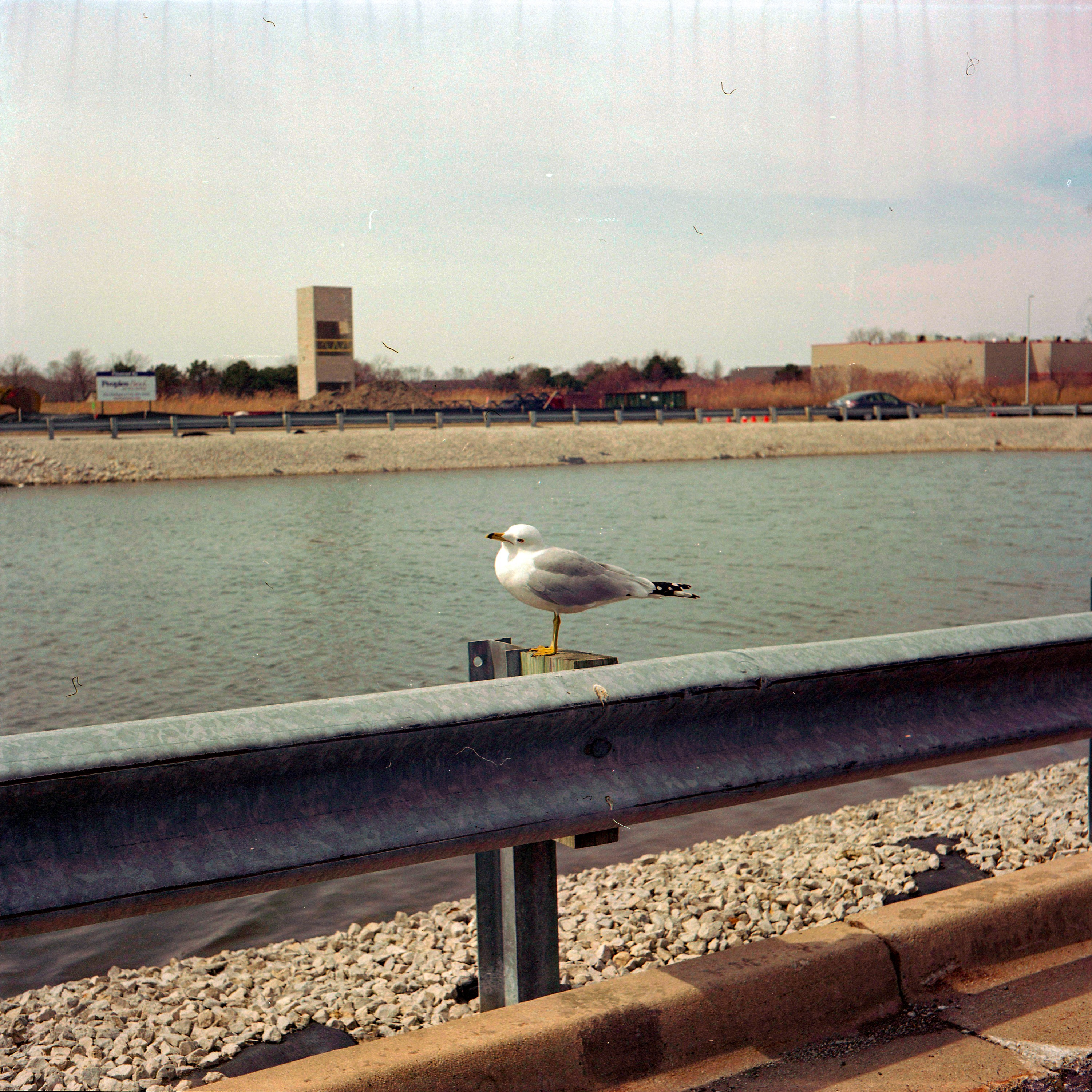 IskraColor-1