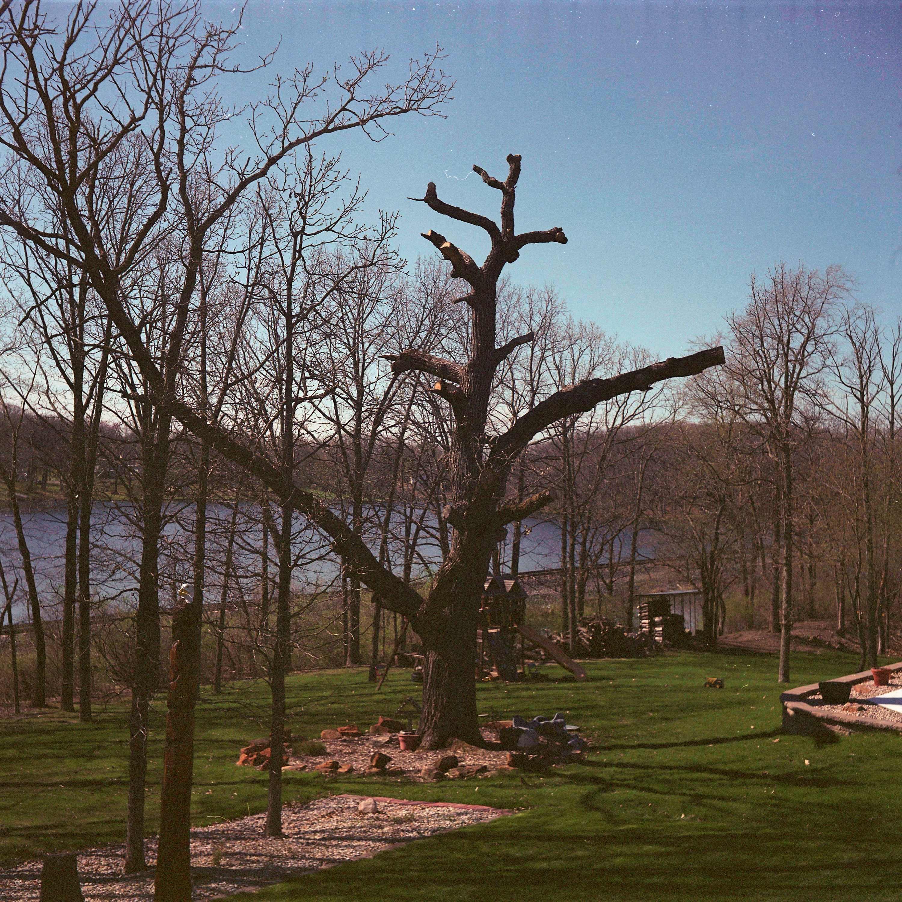 IskraColor-3