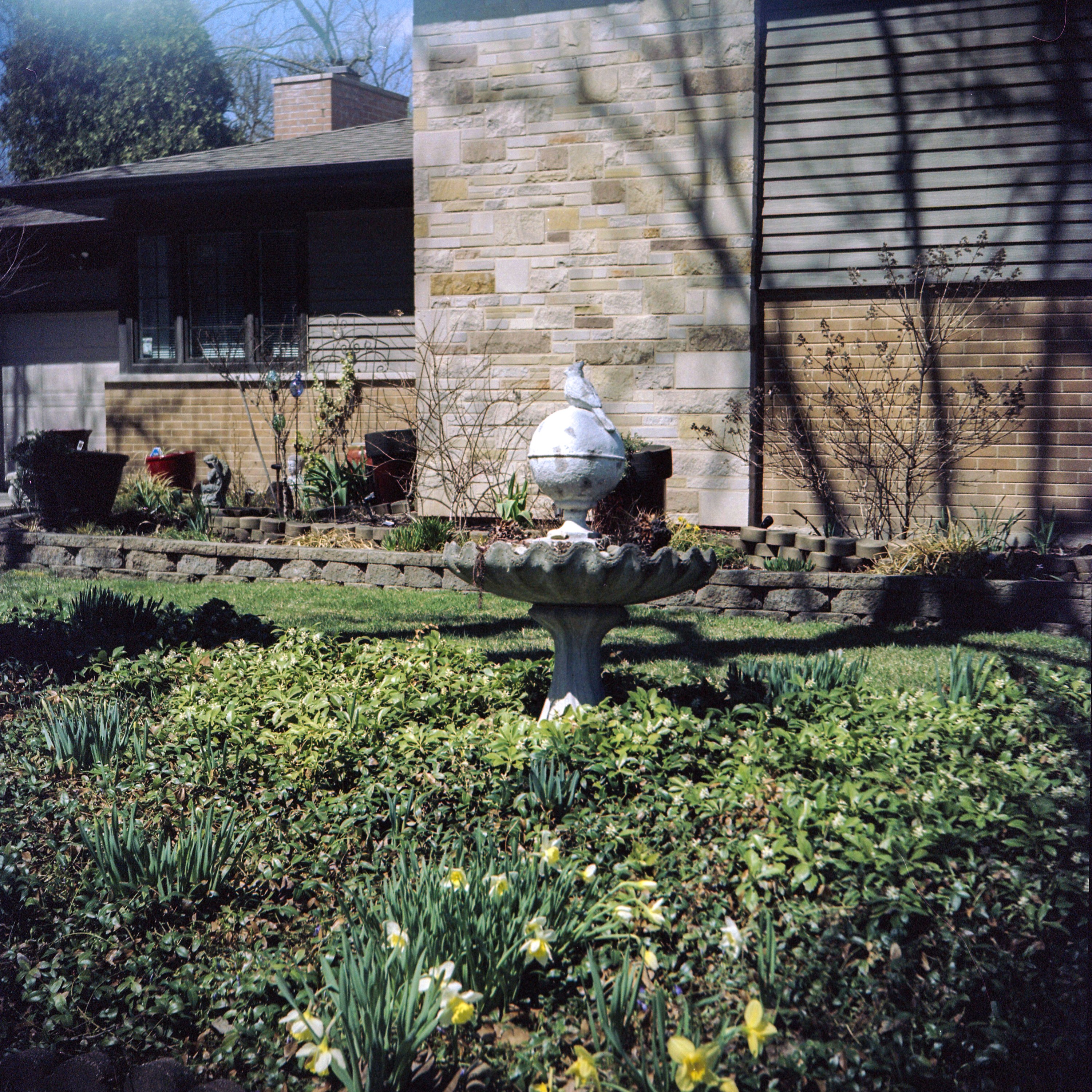 Bolseyflex-3