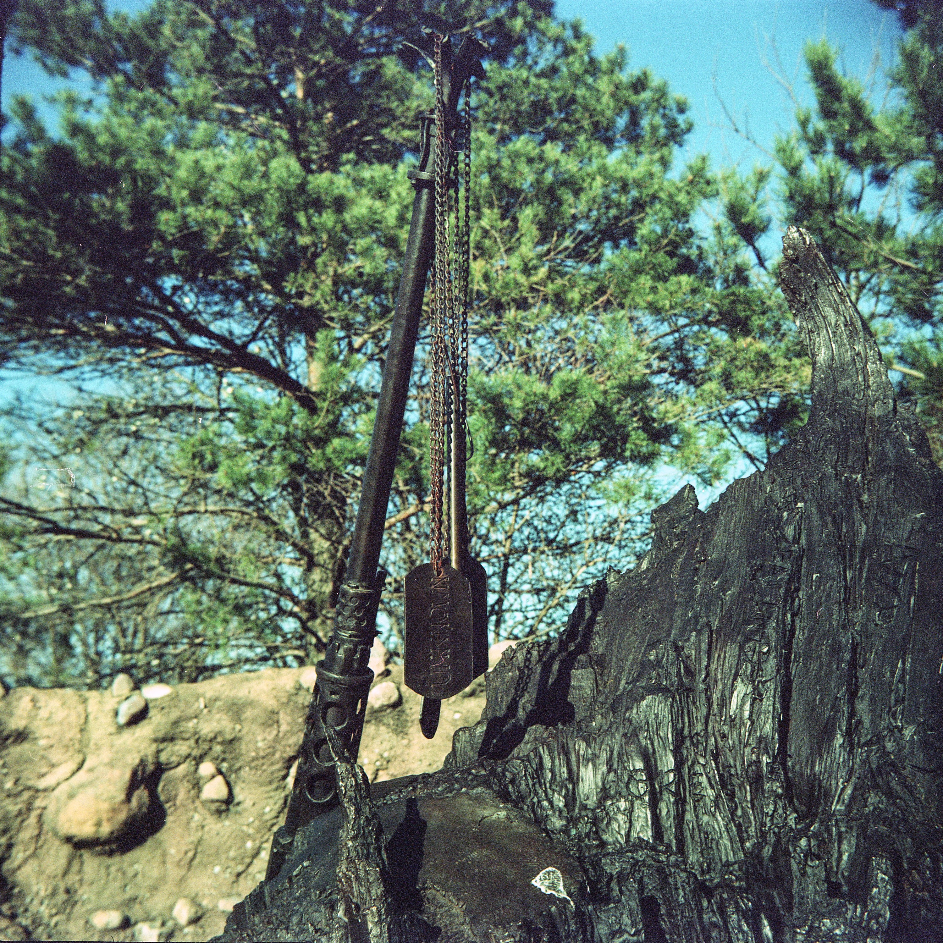 Perkeo-1b