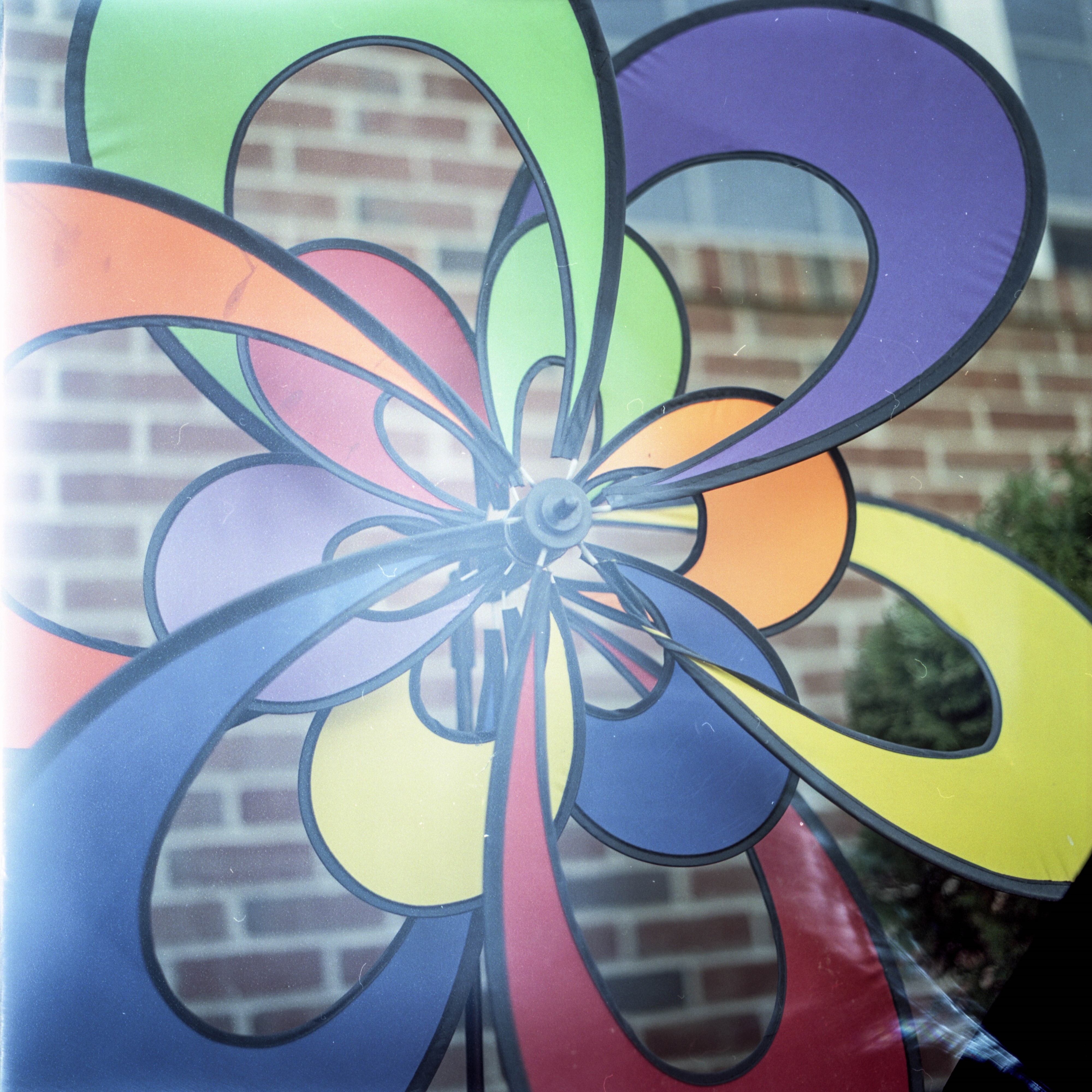 Hasselblad-4