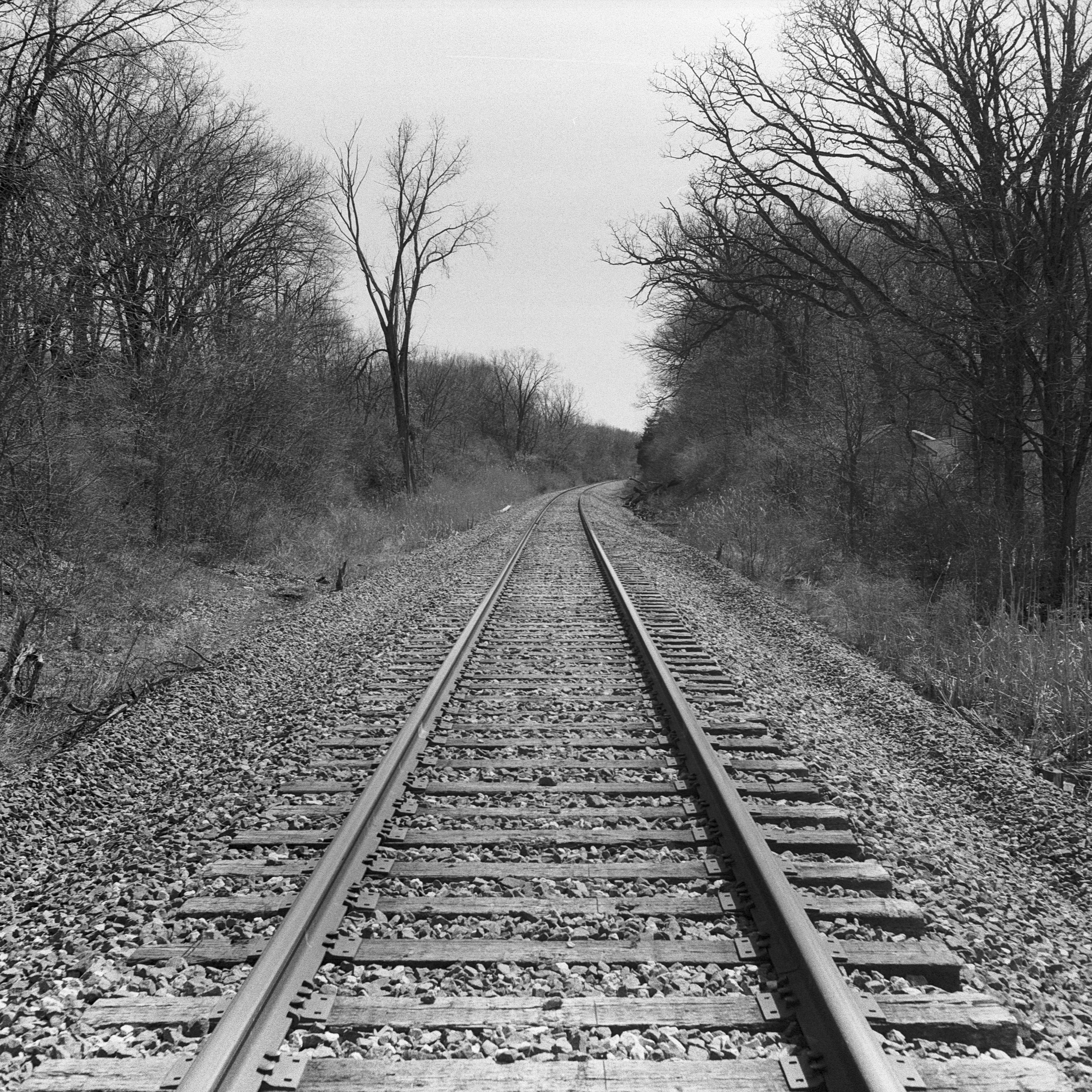 Mamiya6BW-6