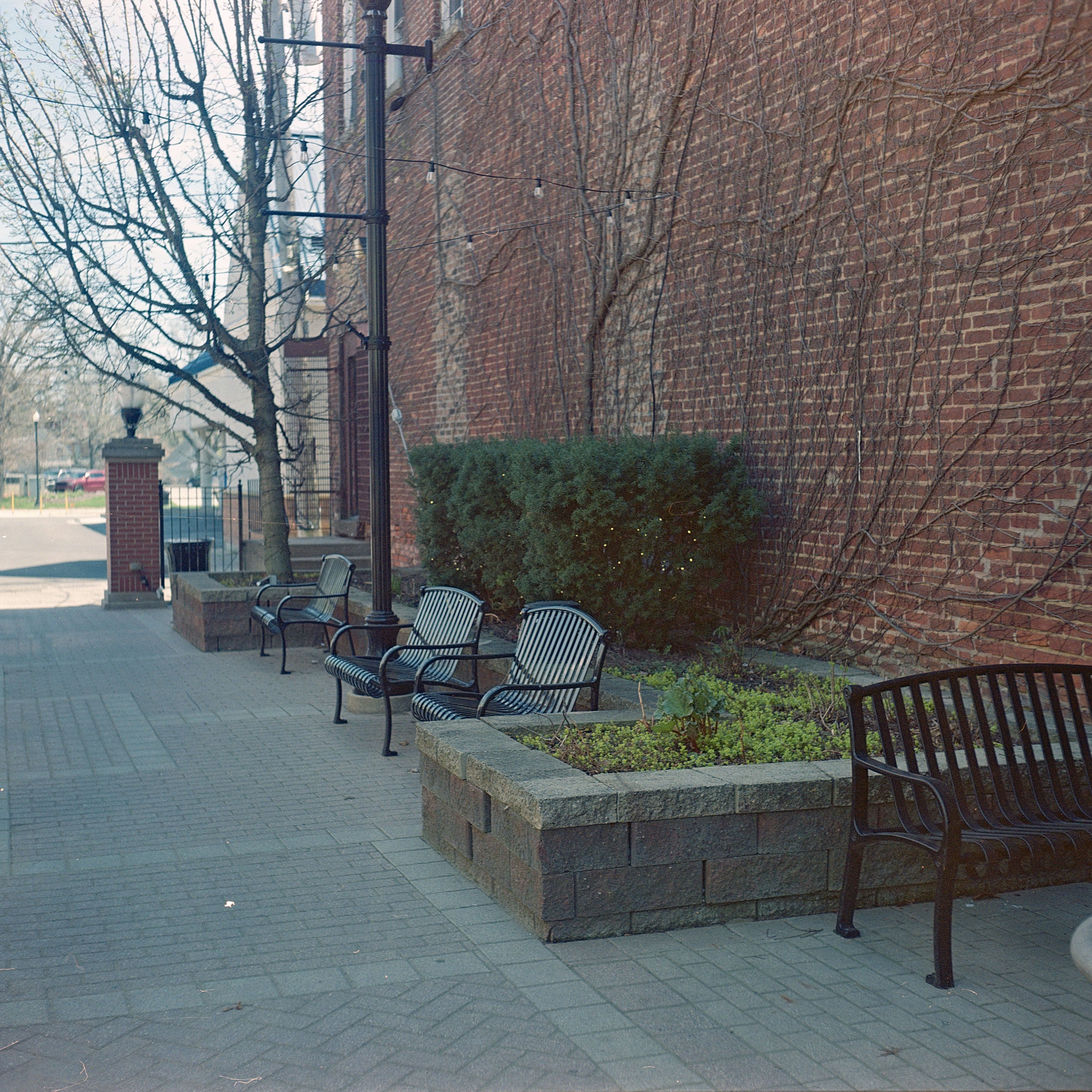 Mamiya6Color-1