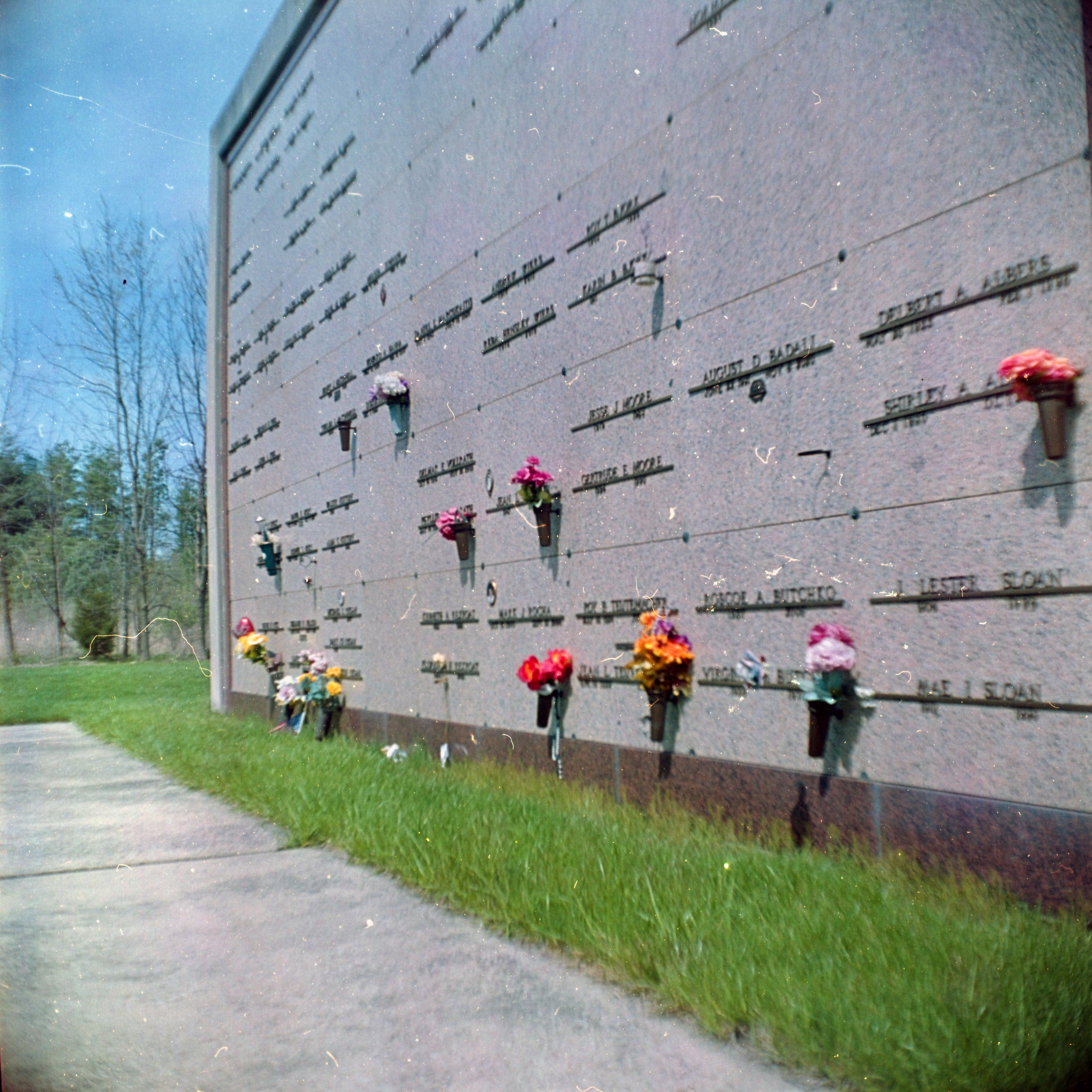PaulViethInflex-10