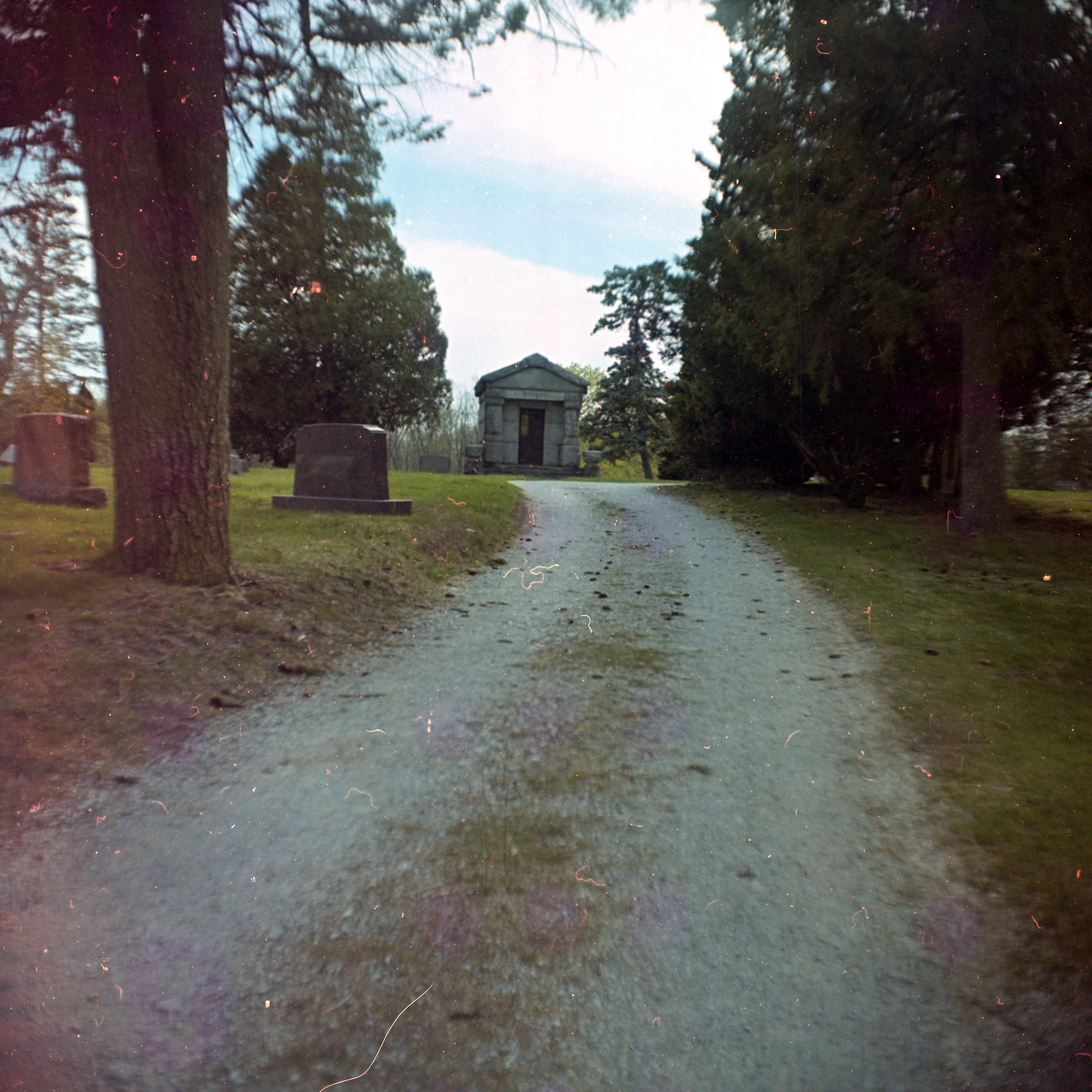 PaulViethInflex-11
