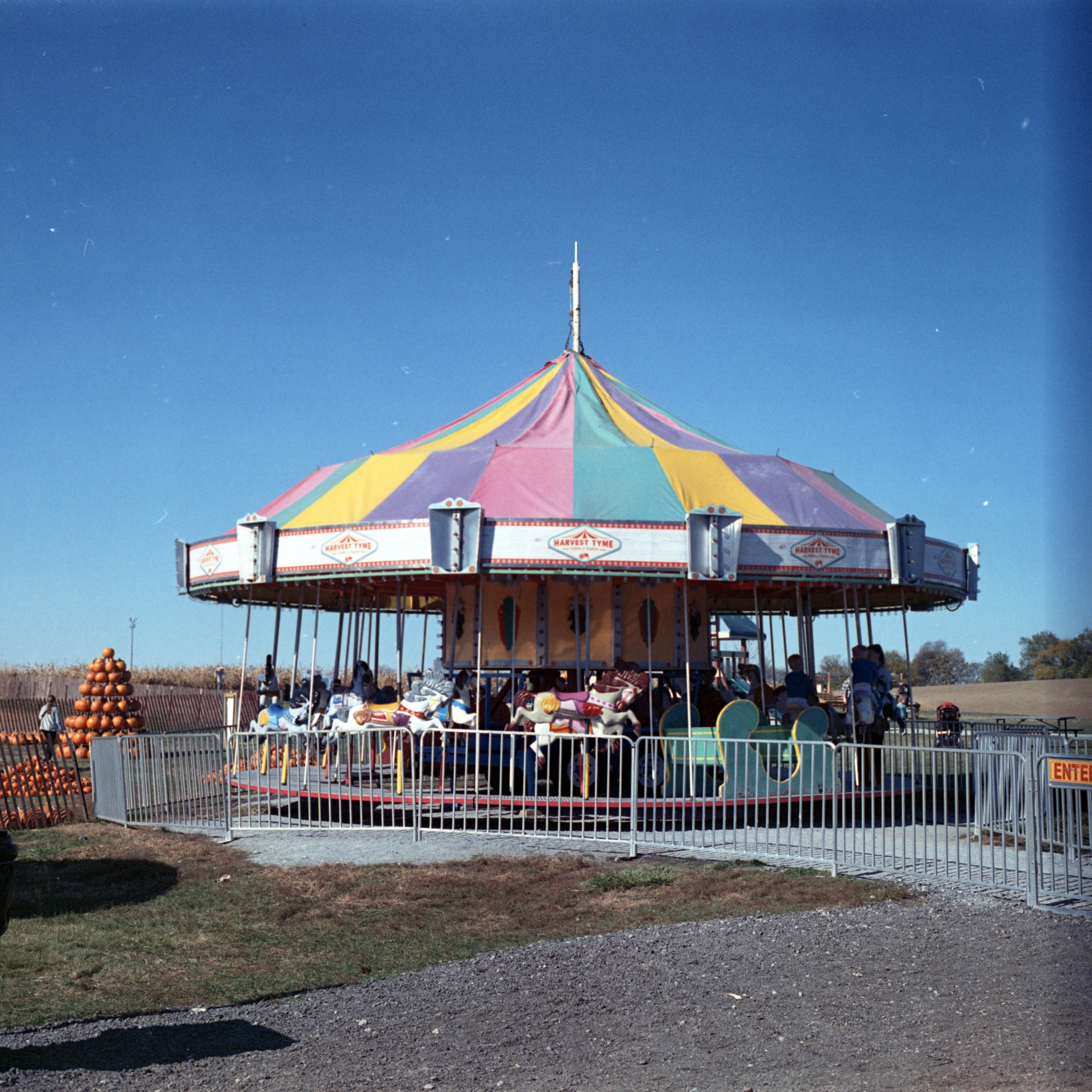 NoritaColor-8