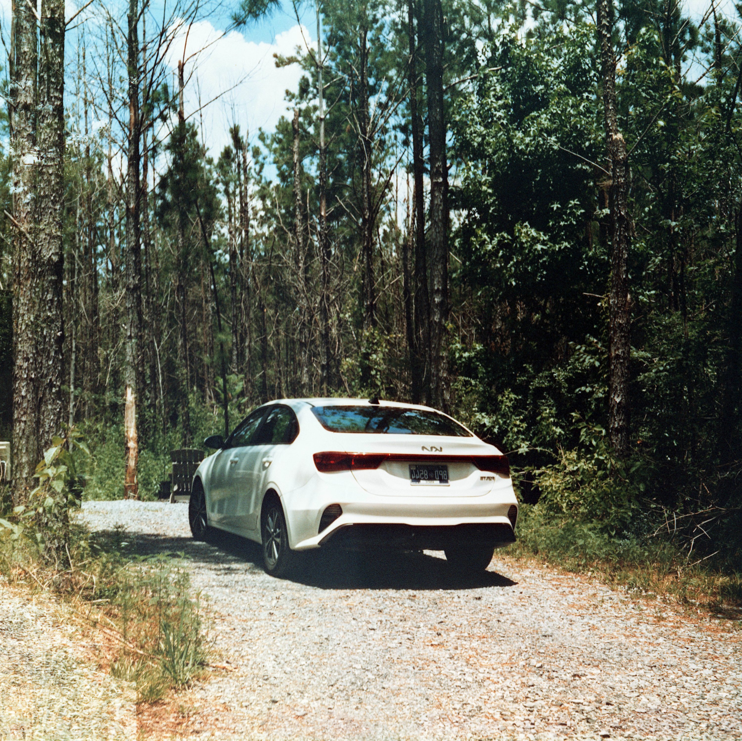 MasterReflex-8