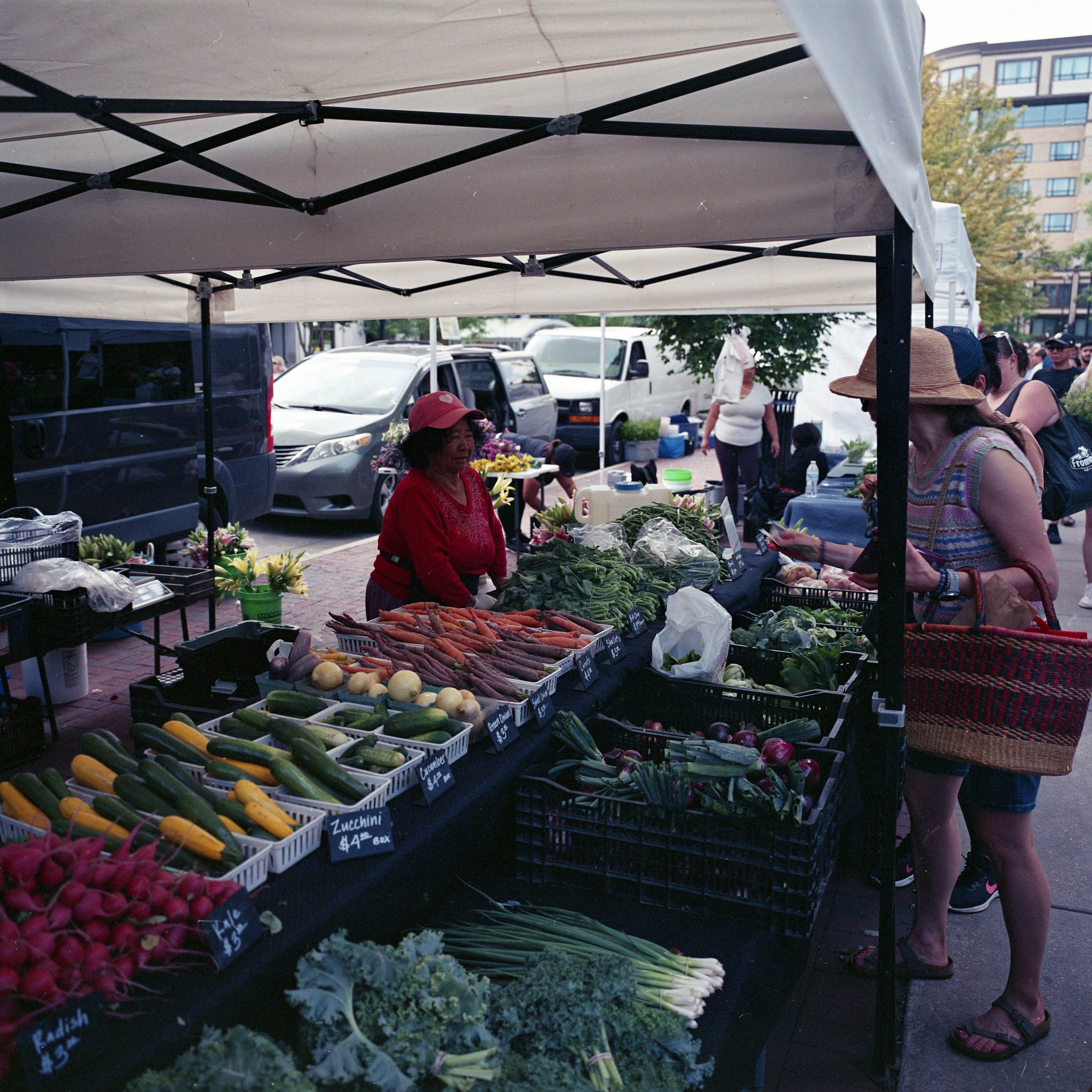 Mamiya6RFColor-8