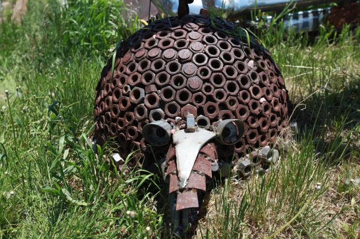 An Armadillo at Bills. -- Guffey, Co.