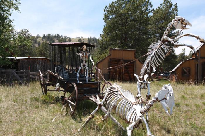 This would happen to our steeds if we didn't take care of them -- Guffey, Co.