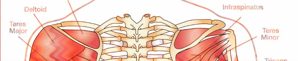 Shoulder release is a great exercise during pregnancy.