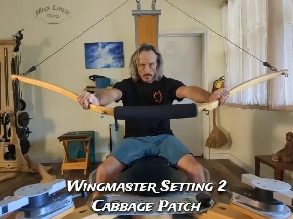 Cabbage Patch with the Gyrotonic Wingmaster keeps your back healthy.