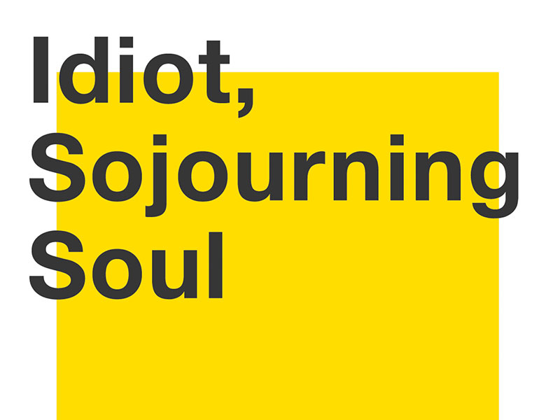 Idiot, Sojourning Soul