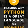 5 Reasons Why Python Is A Great First Programming Language (in 2020)