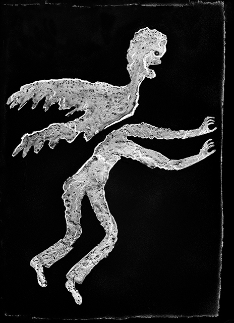 Offering, 2009. Roger Ballen.