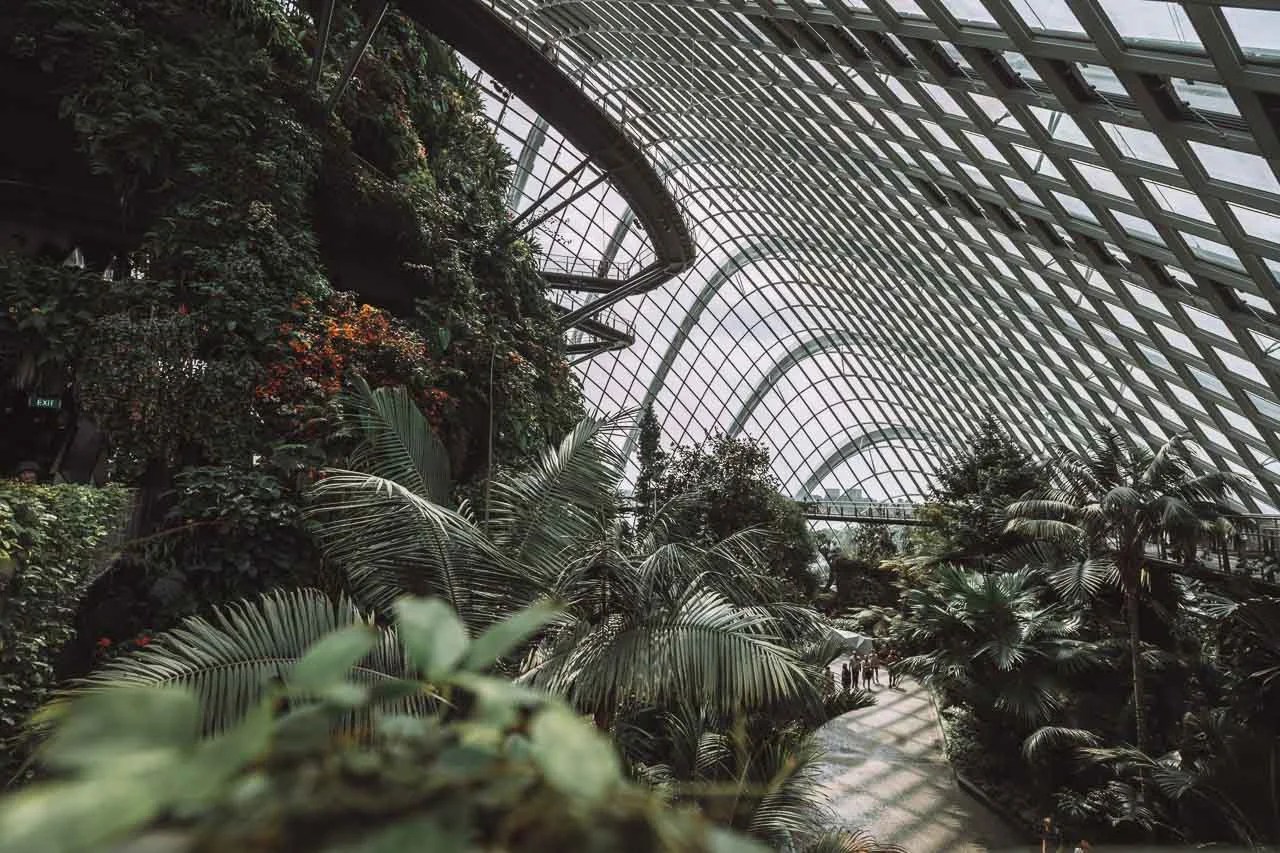 DSC08151-3-day Singapore Itinerary - Cloud Forest Singa Pore 3-day Singapore Itinerary - Cloud Forest Singa Pore