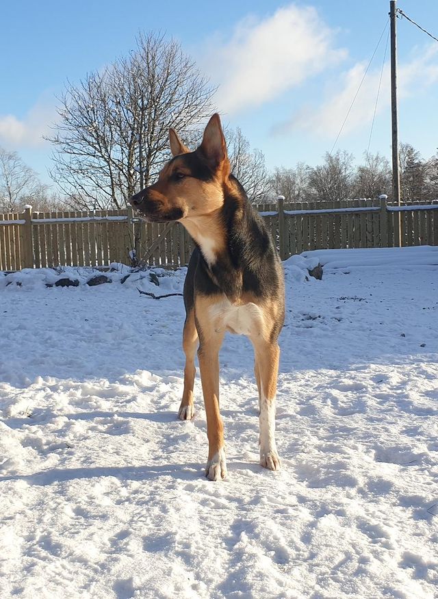 Coco (1)