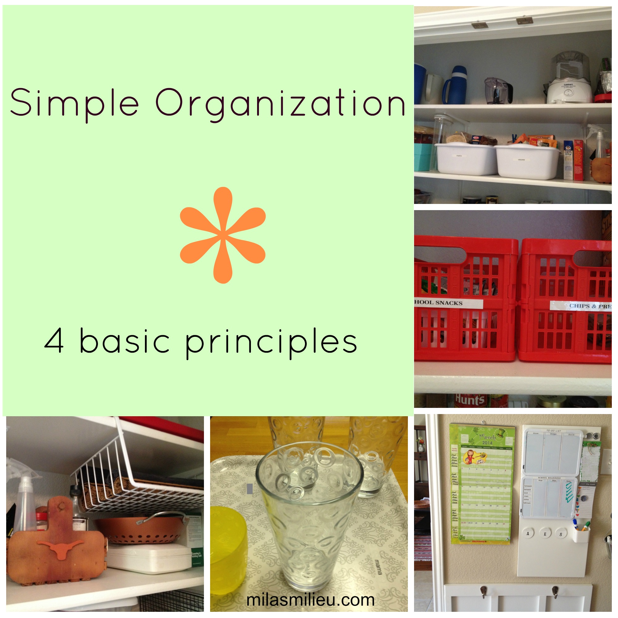 Basic Organizing Principles
