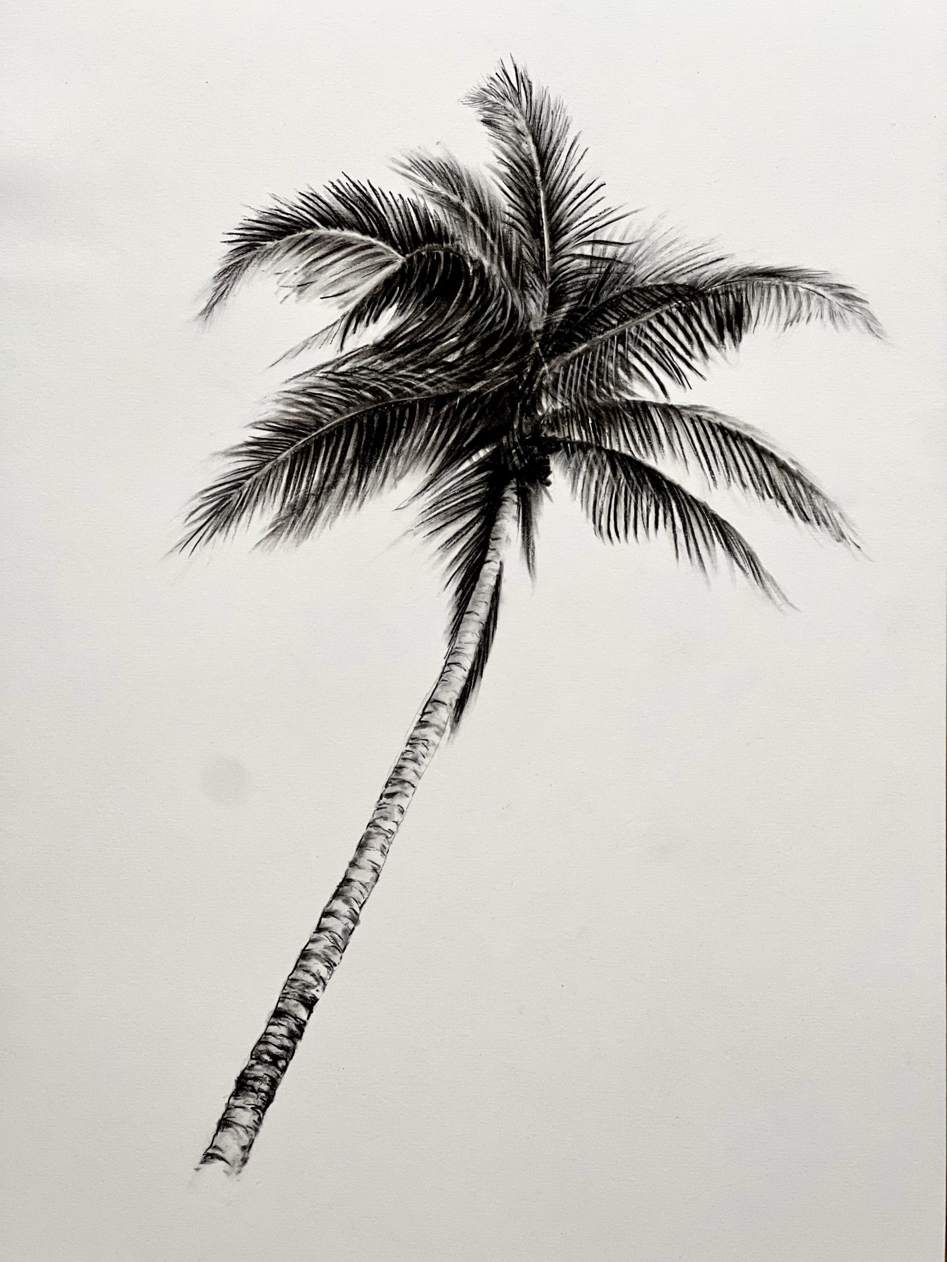 "The Shape of Summer"