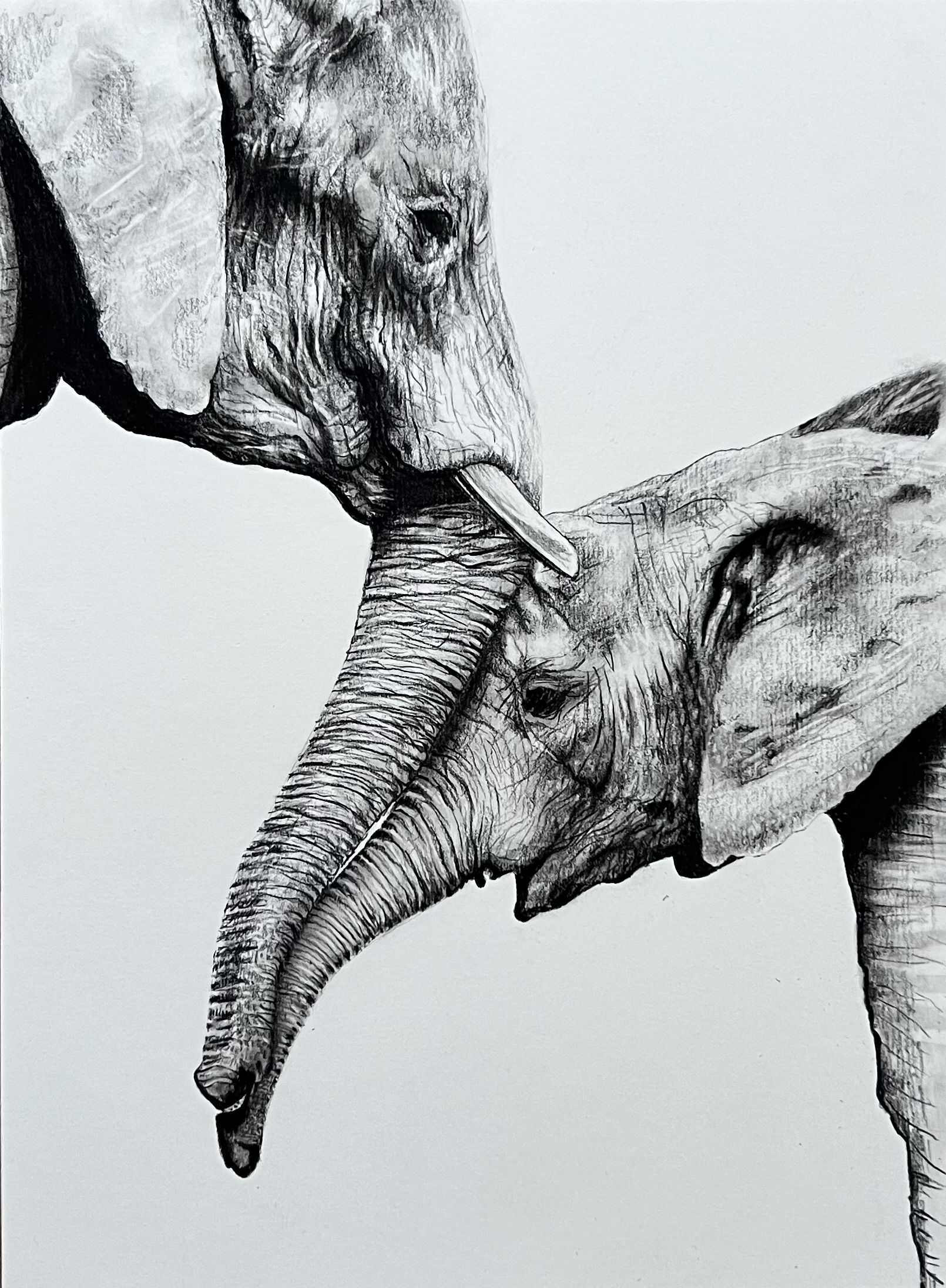 "The Tenderness of Giants"