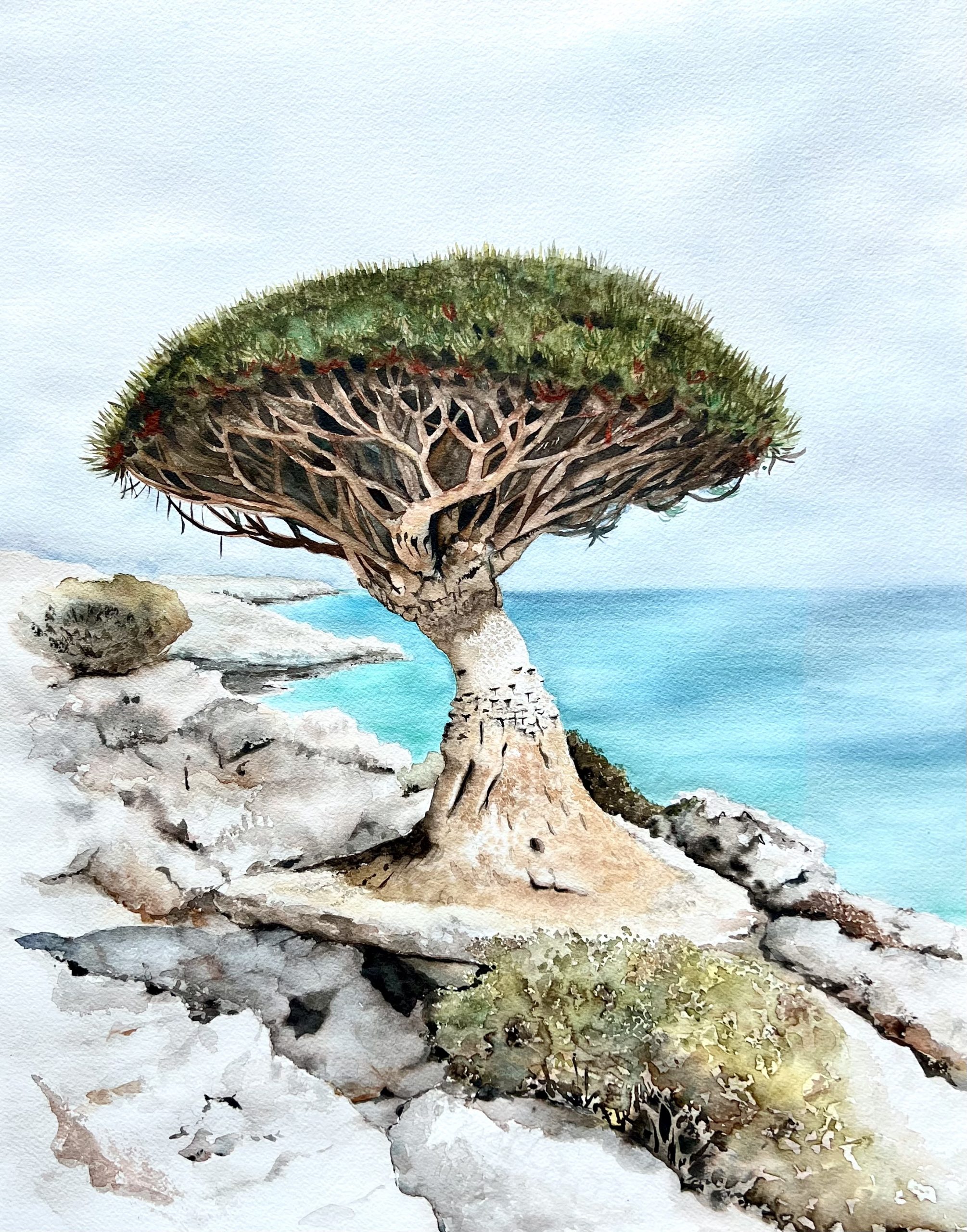 "A Crown Above the Sea"