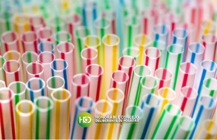 ? Concejales buscarán prohibir la utilización de sorbetes plásticos en Posadas