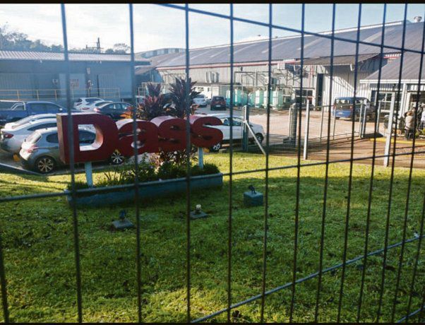 ? Dass contrató a 200 personas y comenzó la producción de zapatillas para Nike en Eldorado, Misiones
