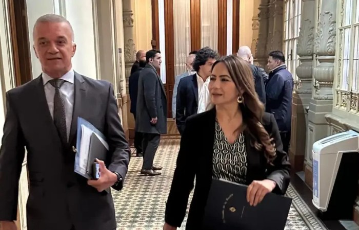 Aseguran que Arce y Rojas Decut estarían evaluando rechazar el capítulo sobre extranjerización de tierras