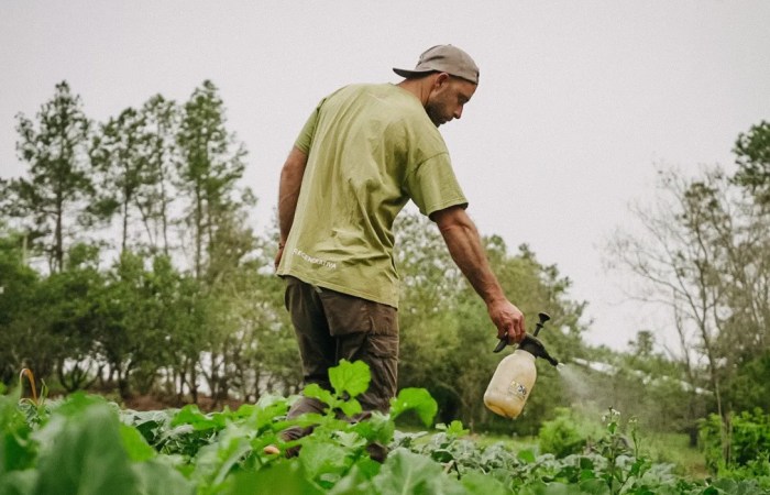 La Agencia Misionera de Innovación y Biofábrica Misiones desarrollan soluciones biológicas para reducir el uso de agroquímicos