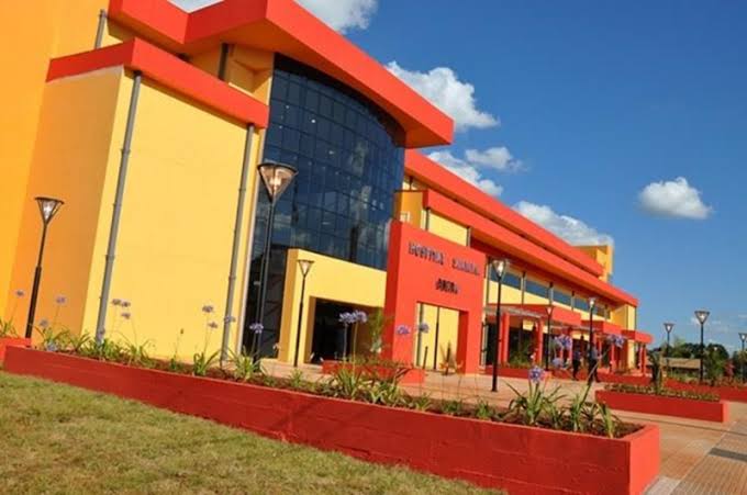 Un hombre fue atacado por un enjambre de abejas en Oberá y permanece intubado en terapia intensiva
