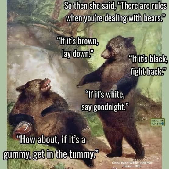 Bears