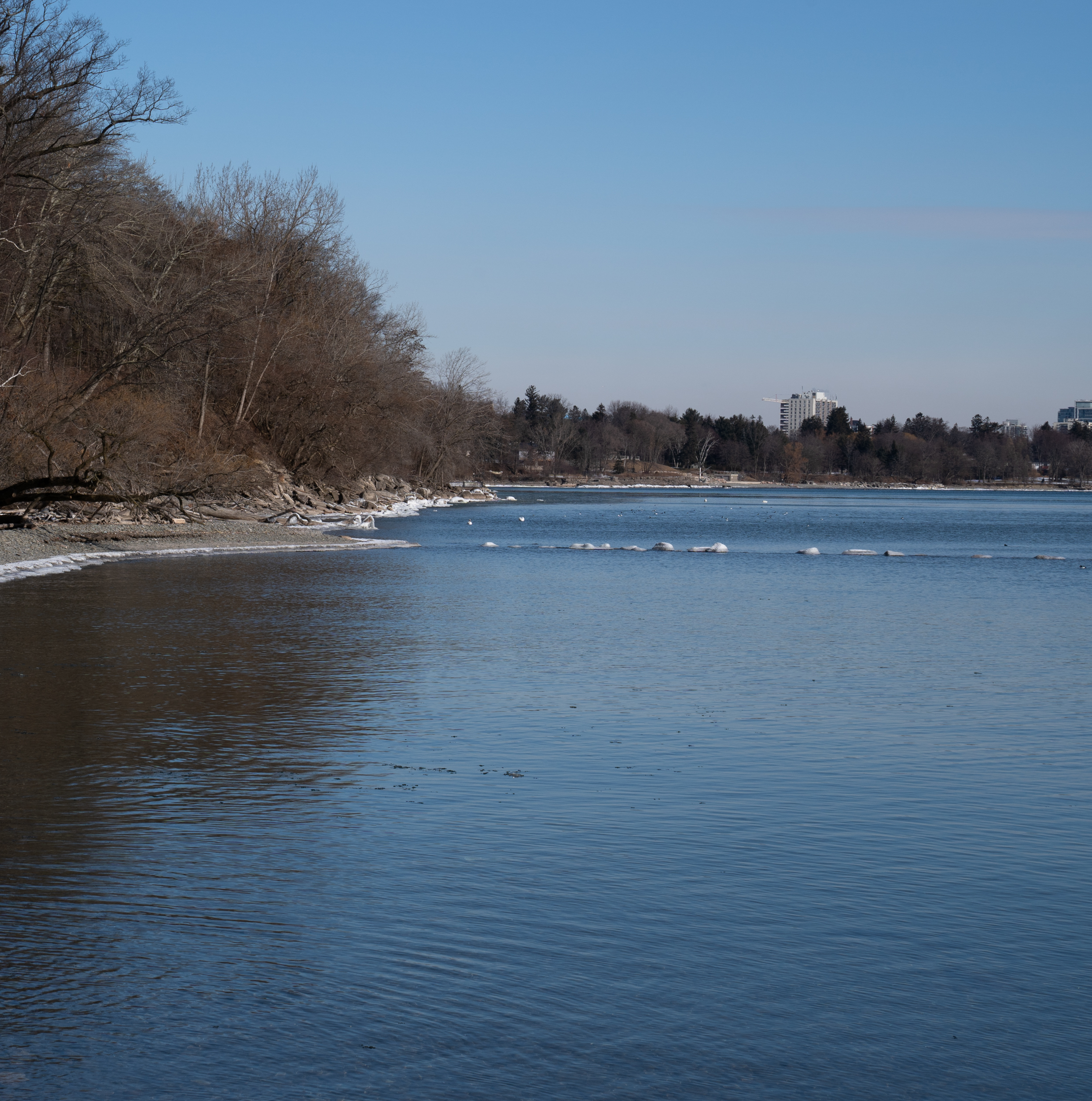 We went on a weekday recently. Singing Cardinals At Jack Darling Memorial Park February 2021 Miles Hearn