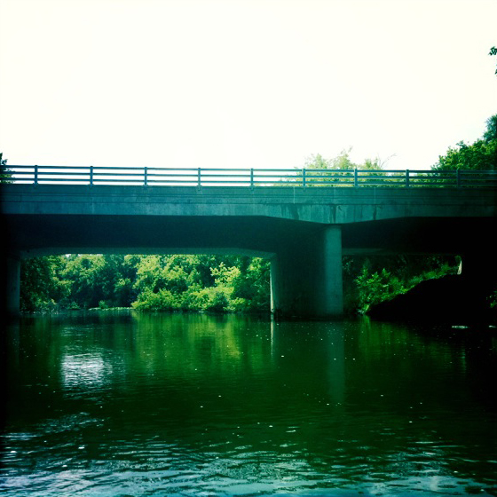 Turtle Creek
