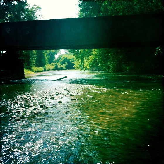 Turtle Creek
