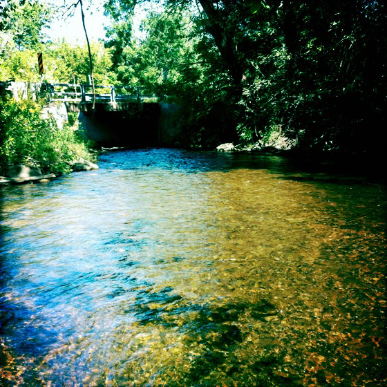 Crystal River