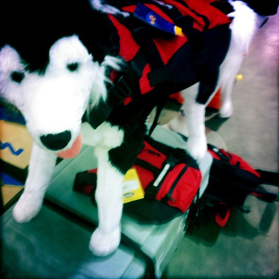 Canoecopia 2012