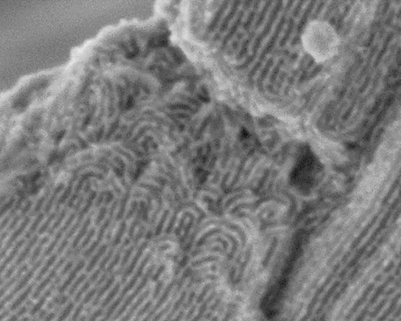 High Performance Electron Microscopy From Milexia - Retina Sunset Arts for Desktop