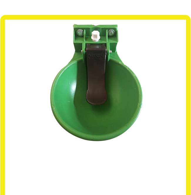 Automatic Water Bowl