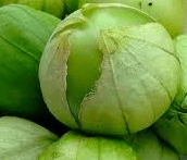 tomatillo