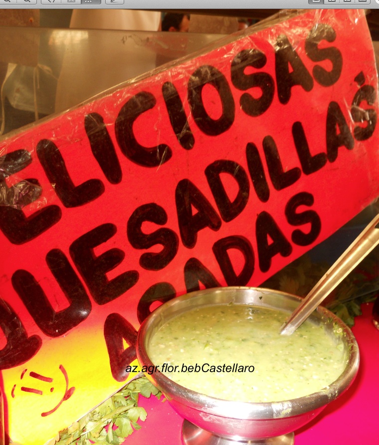 guacamole a Coyacan