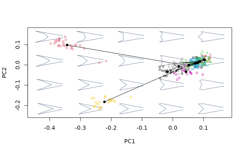 Collin Petigna Proj Morph - Light Images - Stunning Retina Collection