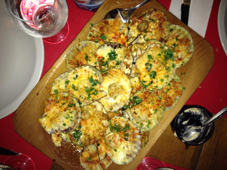 Puerto Pirámide y Península Valdés