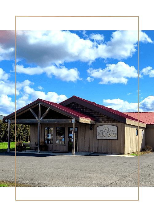 Mill creek veterinary clinic