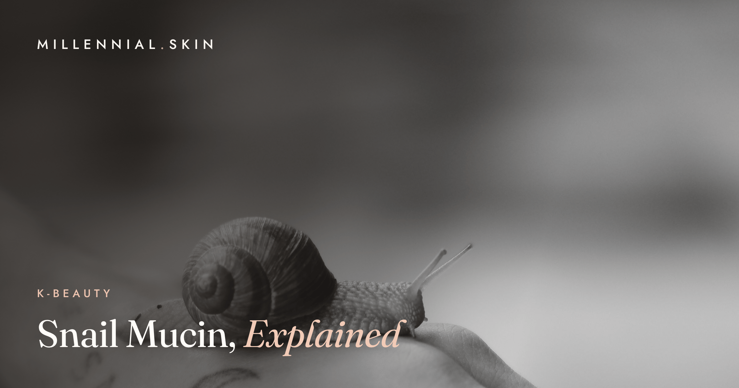 Snail Mucin, Explained