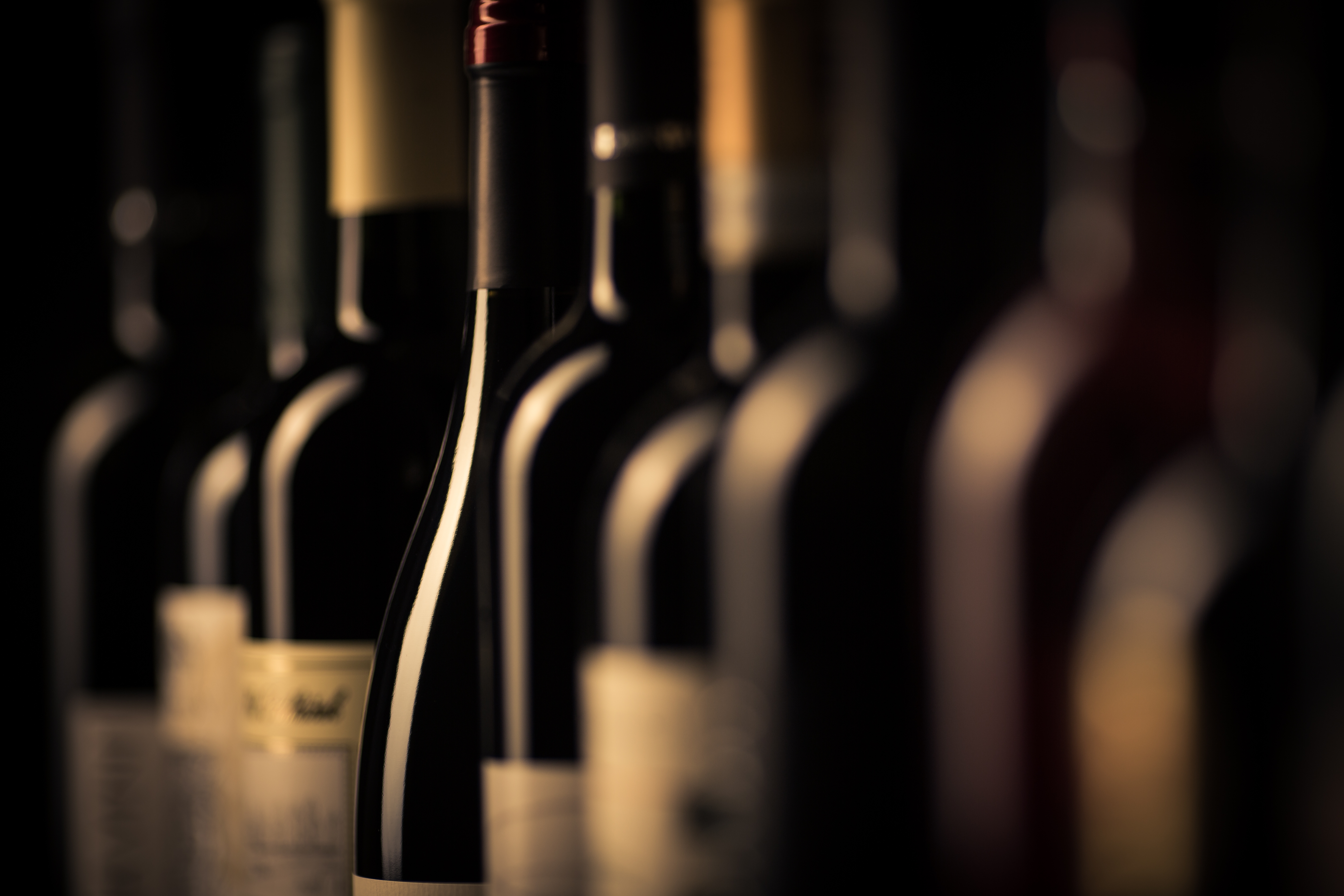 Foire aux Vins BIO : le rendez-vous incontournable de l&rsquo;automne