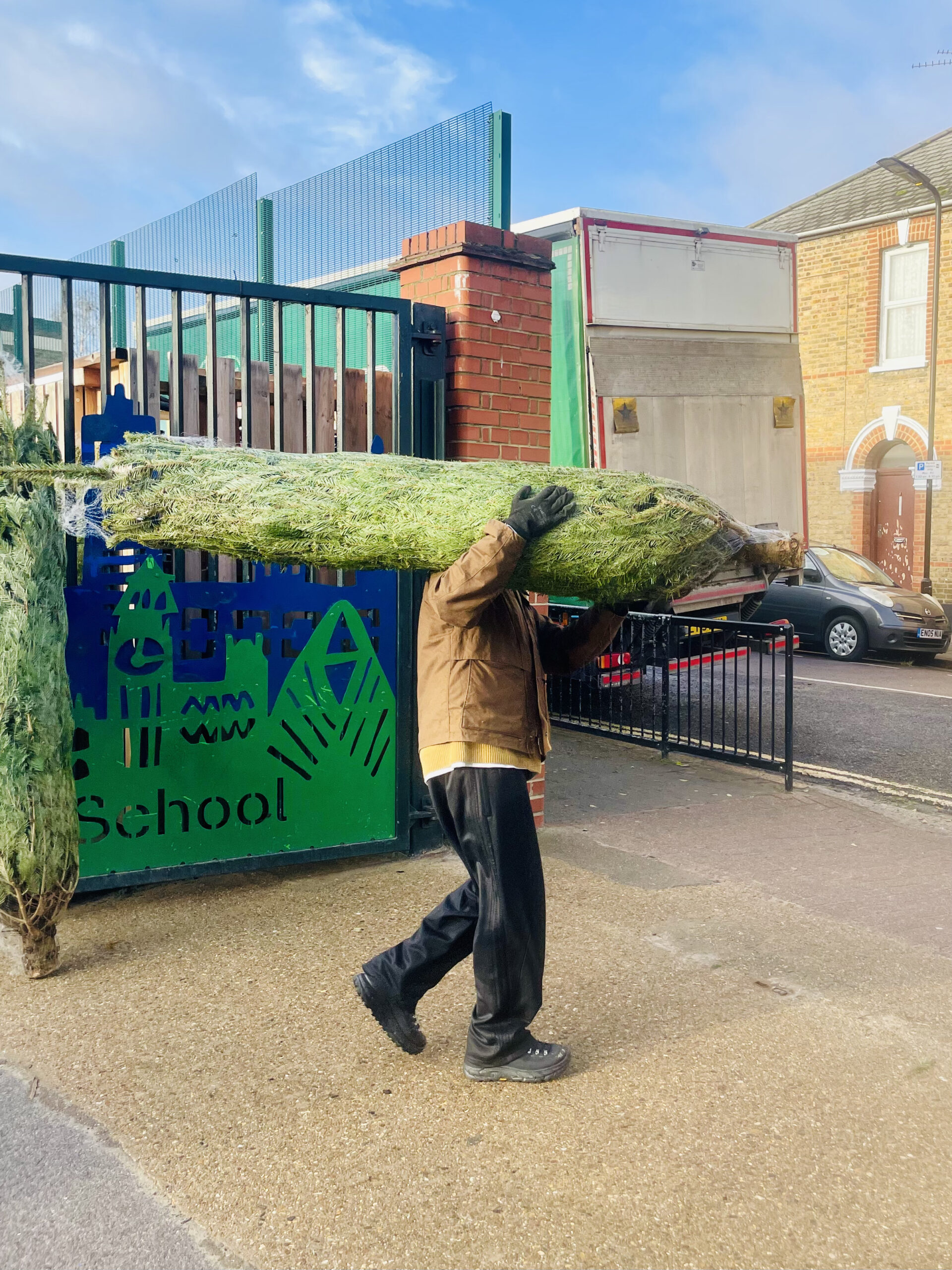 carrying tree