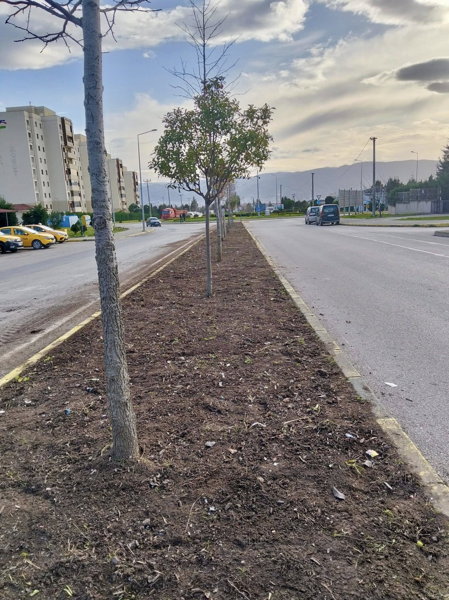 Körfez'de Çevre Düzenleme Çalışmaları Sürüyor!